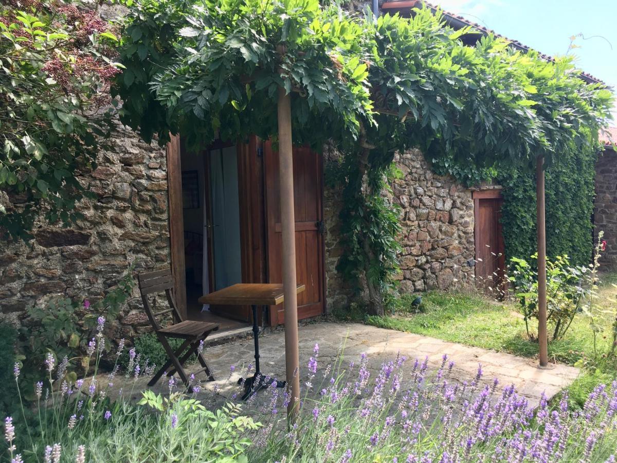 L'Estivante Saint-Austremoine Extérieur photo